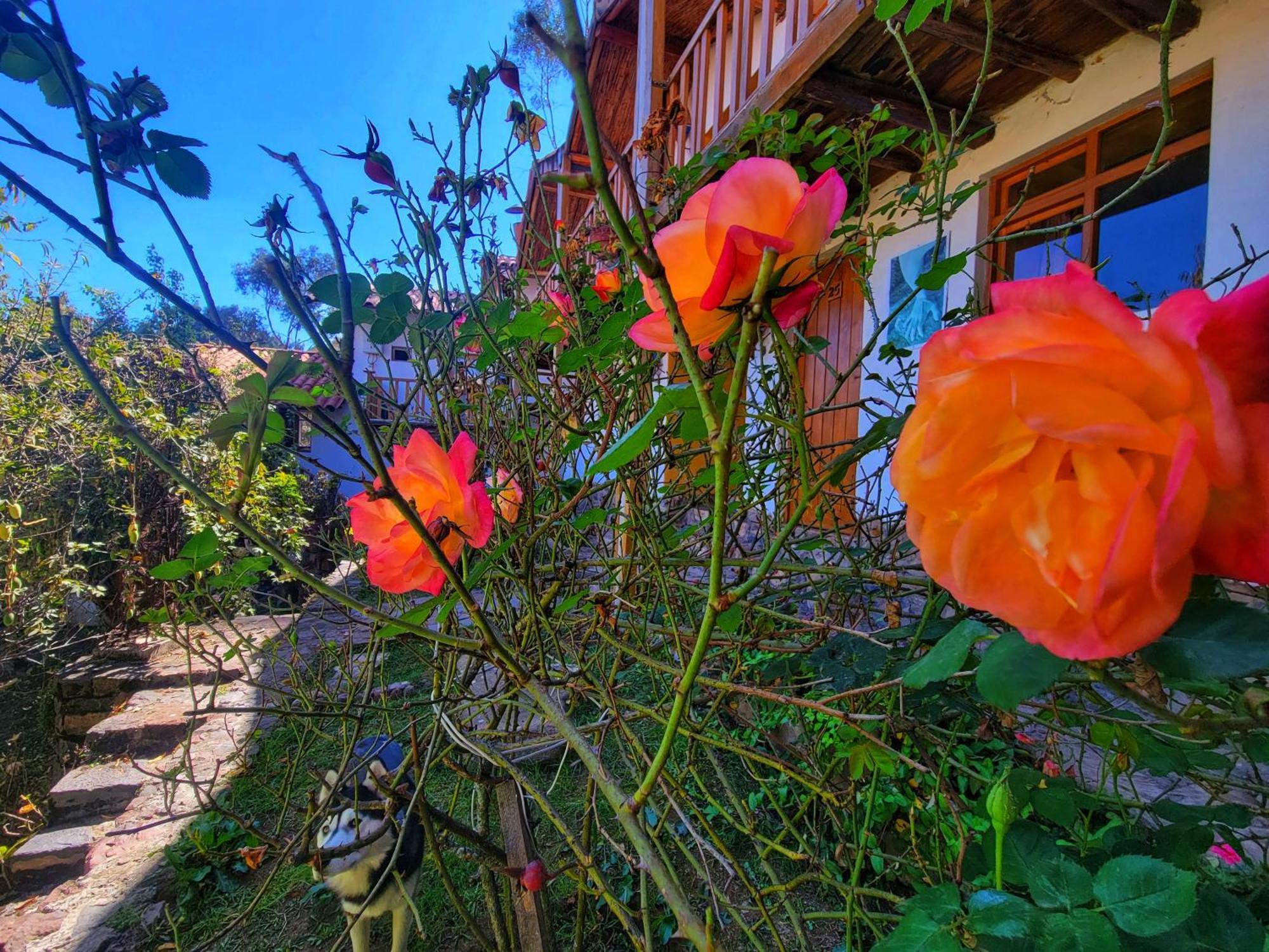 La Casa De Campo Cuzco Eksteriør bilde