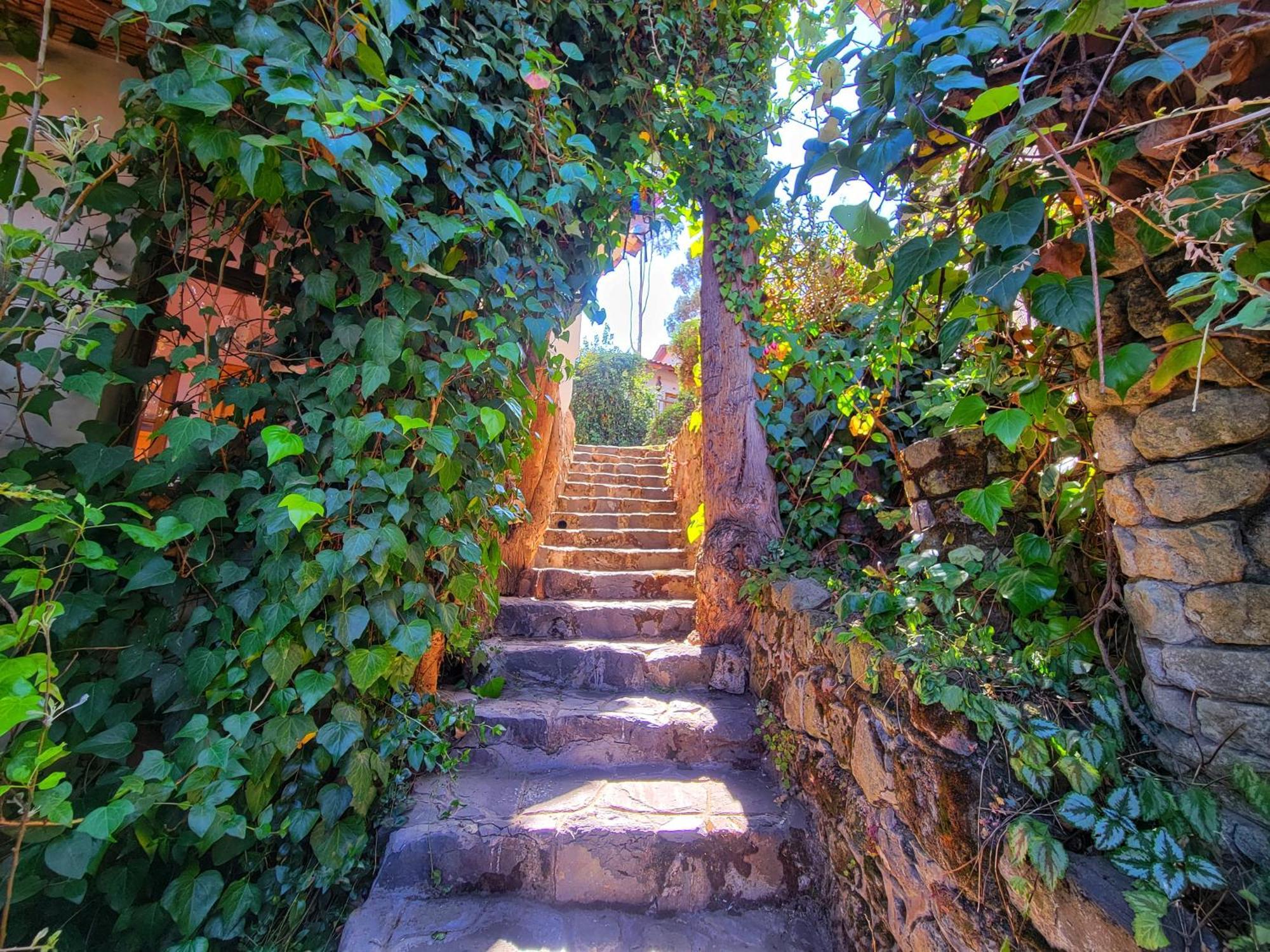 La Casa De Campo Cuzco Eksteriør bilde